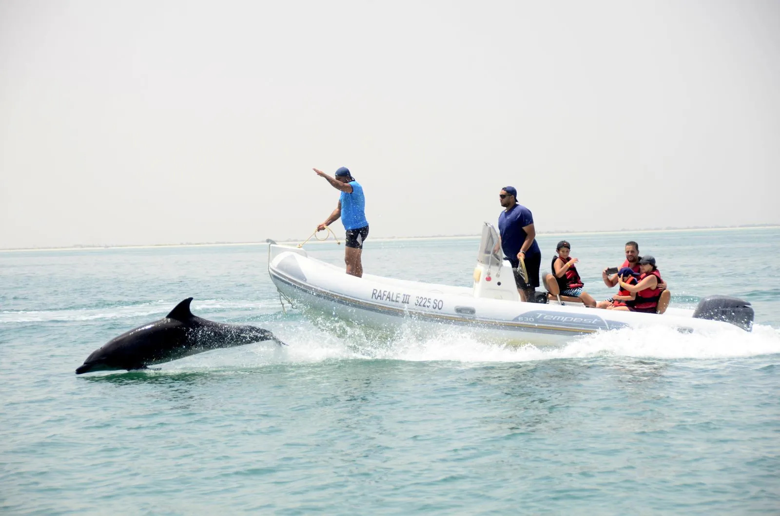 Speed Boat Djerba — Delfini e spiagge di sabbia bianca 1