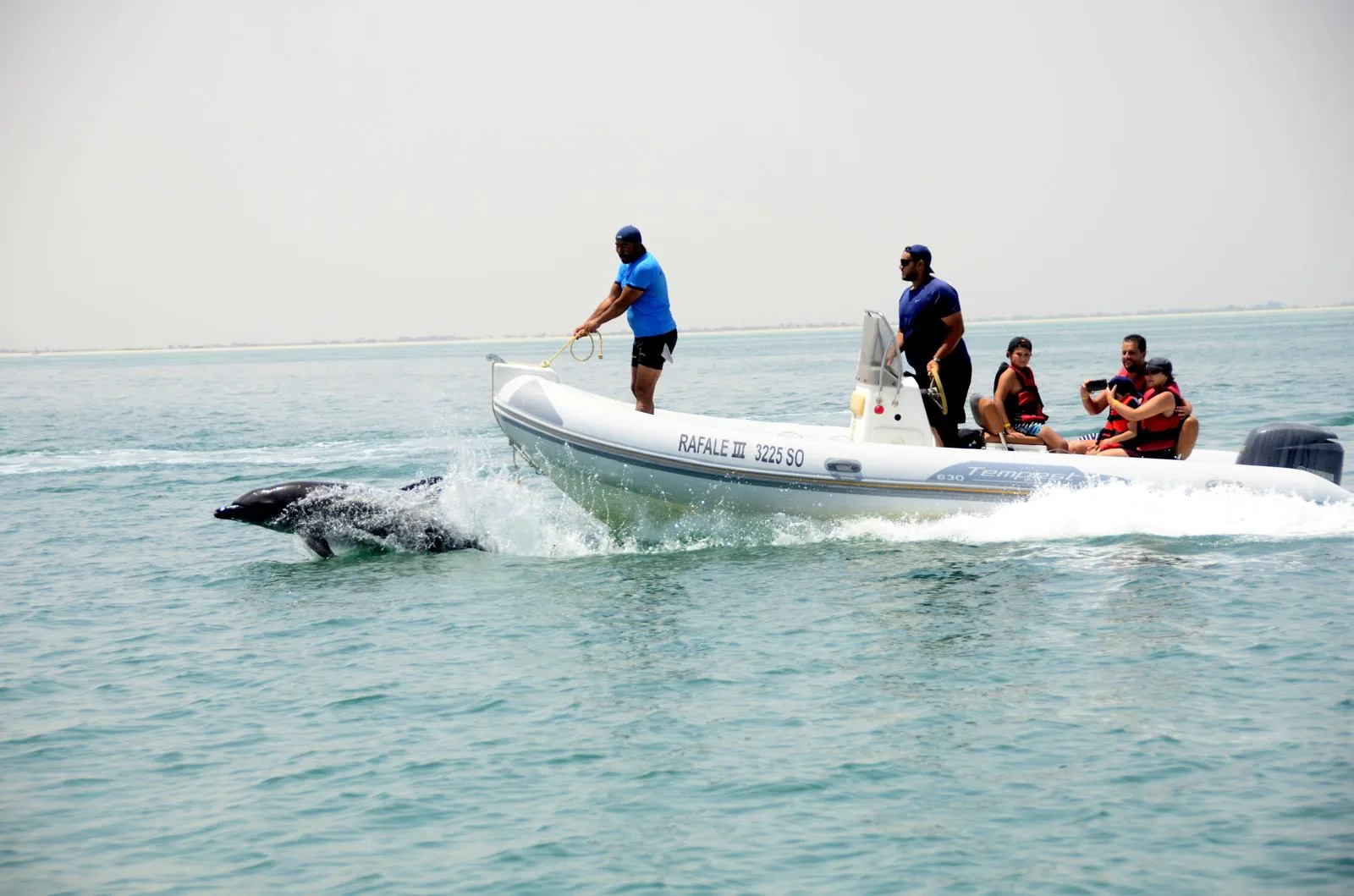 Speed Boat Djerba — Delfini e spiagge di sabbia bianca 2