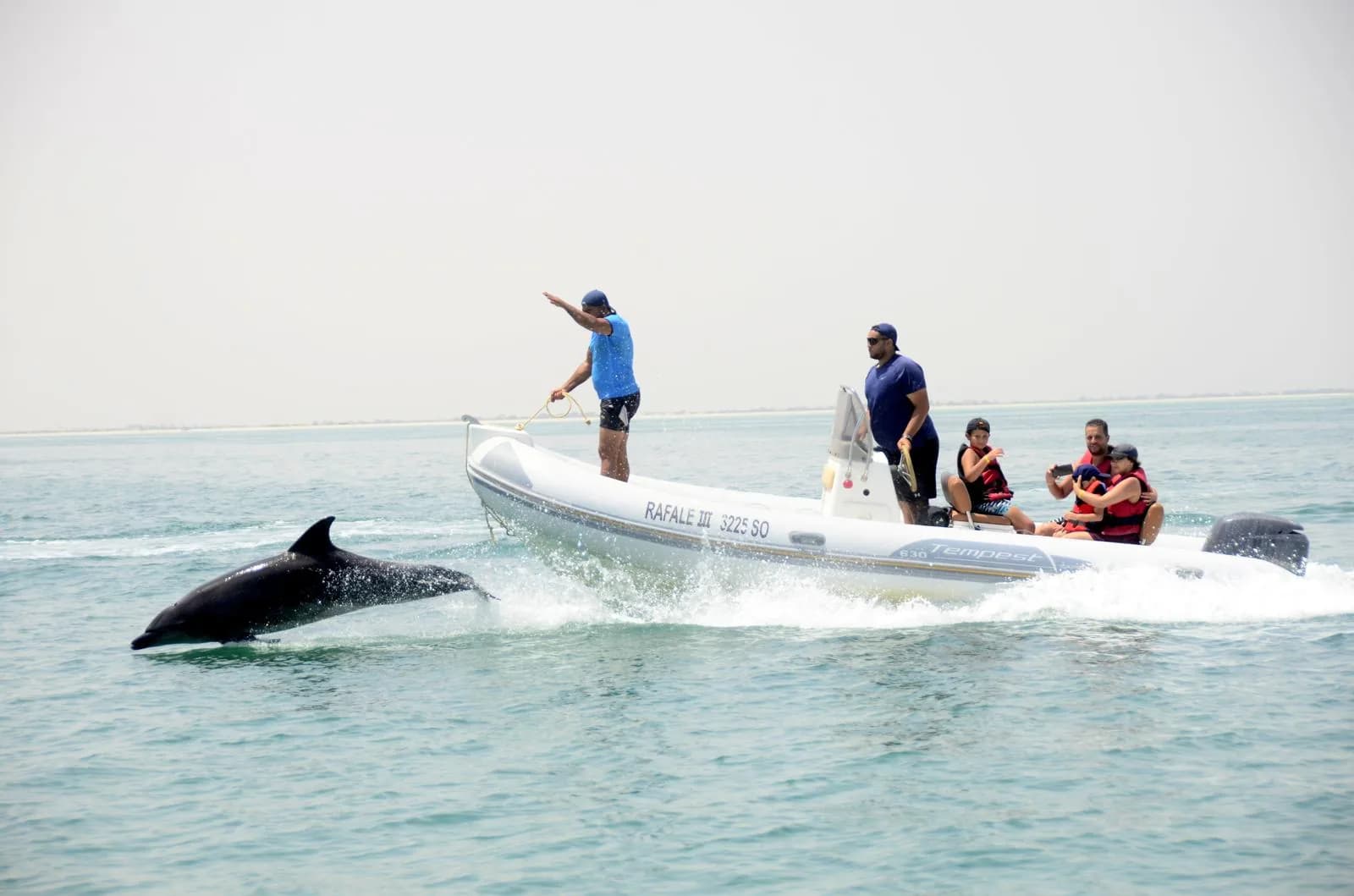 Speed Boat Djerba — Delfini e spiagge di sabbia bianca